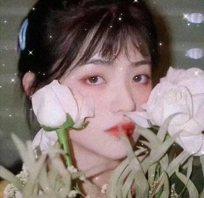 爱与黑暗的故事